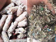 2000 ঘন্টা ল্যান্ডফিল্ড MSW RDF WASTE পেললেট মিল তৈরির মেশিন 7.5kw